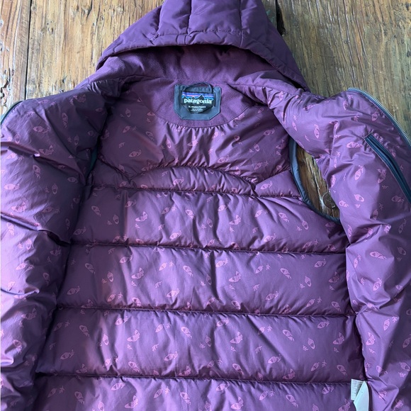 Patagonia Bivy Hooded Down Vest - Picture 7 of 11